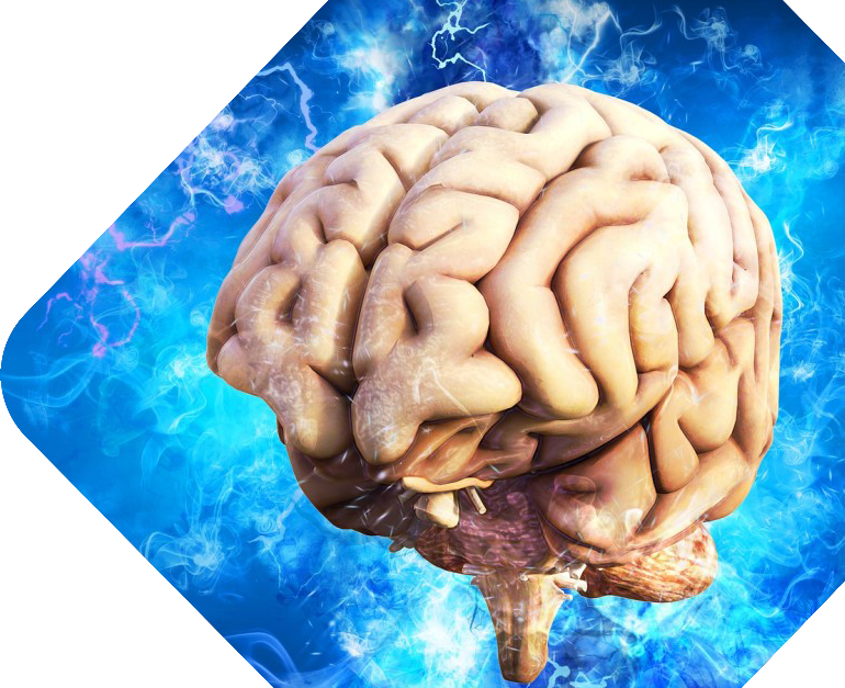 home_img_brain_01